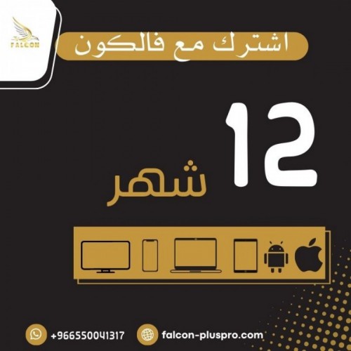 أشتراك فالكون 12 شهر