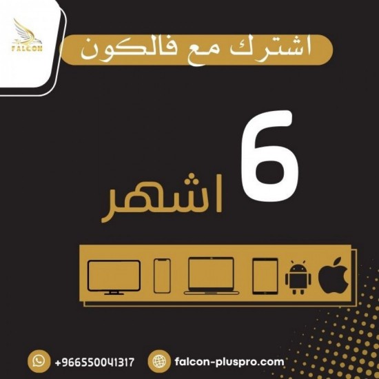أشتراك فالكون 6 شهور