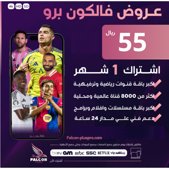 اشتراك فالكون ثلاث شهور